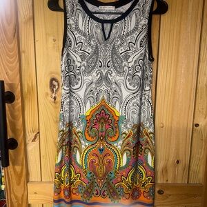 Sandra Darren Multicolor Paisley Dress